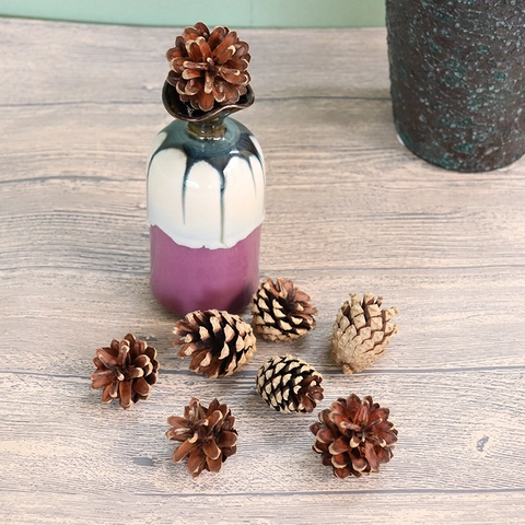 Piñas Naturales Madera Seca Para Manualidades DIY De Navidad Decoración De Mesa Rústica Tema De Otoño