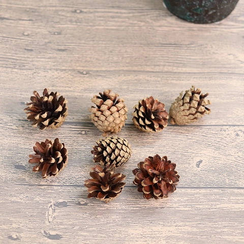 Piñas Naturales Madera Seca Para Manualidades DIY De Navidad Decoración De Mesa Rústica Tema De Otoño