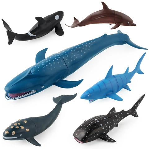Modelli Animali Marini Simulazione Creature Marine Squalo Balena Delfino Plastica Giocattolo Educativo Regalo Bambini