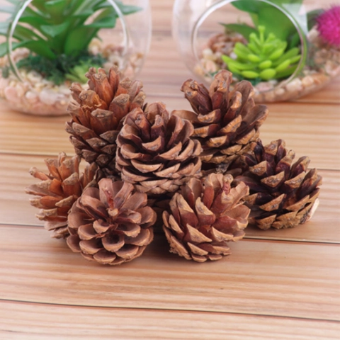 Natuurlijke Dennenappels Hout Kerstversiering Voor Doe Het Zelf Ambachten En Fotografie Rekwisieten Rustieke Feestelijke Woondecoratie