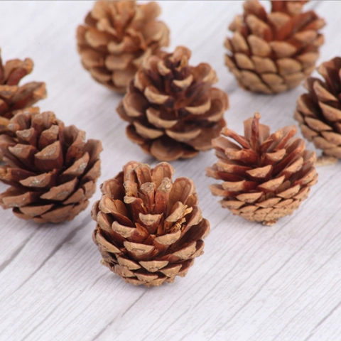 Natuurlijke Dennenappels Hout Kerstversiering Voor Doe Het Zelf Ambachten En Fotografie Rekwisieten Rustieke Feestelijke Woondecoratie