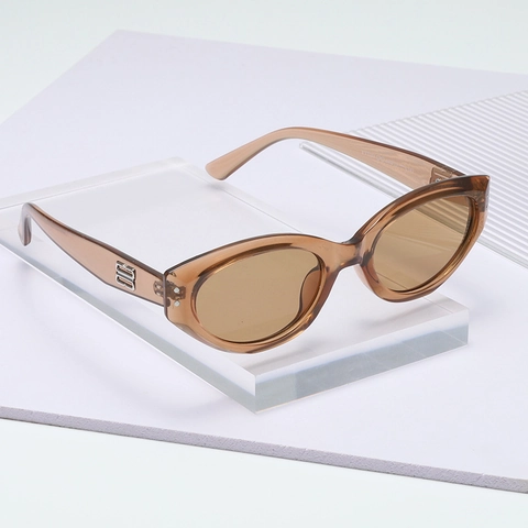 Retro Small Frame Cat Eye Sunglasses PC Frame UV400 Protection Polarized Fashion Eyewear For Women Street Style