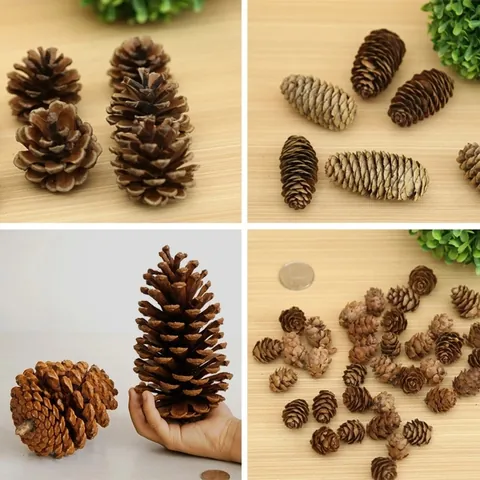 Natürliche Weihnachts Zapfen Und Rote Beeren Rustikale Getrocknete Holz Ornamente Für Baumdeko Fotografie Requisiten DIY Basteln