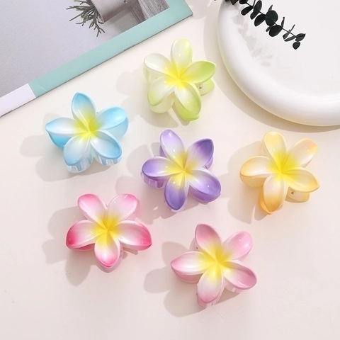 Mollette Per Capelli Con Fiori Di Frangipane Hawaiiani Resina Gradiente Estate Spiaggia Vacanze Accessori Moda Donna