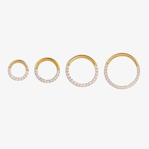 Titan Zirkon Scharnier Segment Ring Nasenring Knorpel Ohrring Körper Piercing Clicker Schmuck Für Frauen Mode