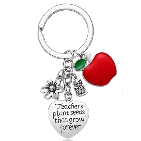 Porte-Clés Appréciation Enseignant Acier Inoxydable Pendentif Cœur Charmes Pomme Hibou Fleur Cadeau Mentor