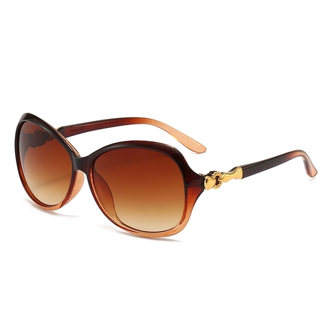 Women Oversized Oval Sunglasses With Plastic Frame Gradient PC Lens UV400 Protection Metal Trim Fashion Travel Accessory
