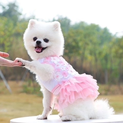 Robe Pour Animaux Coton Maille Tulle Applique Florale Tutu Style Princesse Pour Petits Chiens Chats Chiot Vêtements Élégants