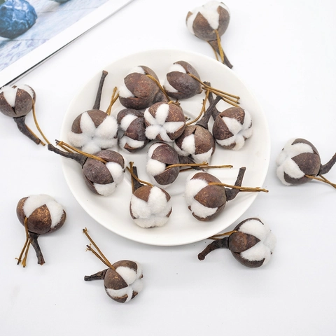 Natural Dried Cotton Flower Heads Kapok Bolls Brown Shells For Christmas Home Decor DIY Crafts Wedding Photography Props