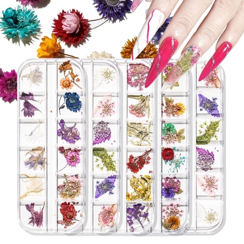 Fleurs Séchées Pour Nail Art Naturelles Florales Grilles Colorées Hortensia Marguerite Gypsophile Décoration Manucure DIY