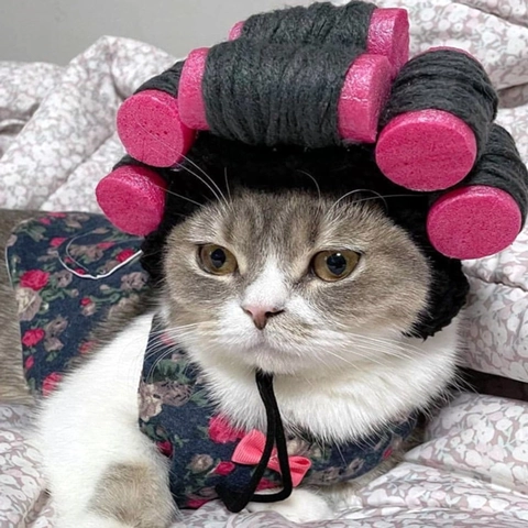 Funny Pet Knitted Hat Humorous Wig With Sponge Curlers For Cats And Dogs Halloween Party Costume Cosplay Adjustable