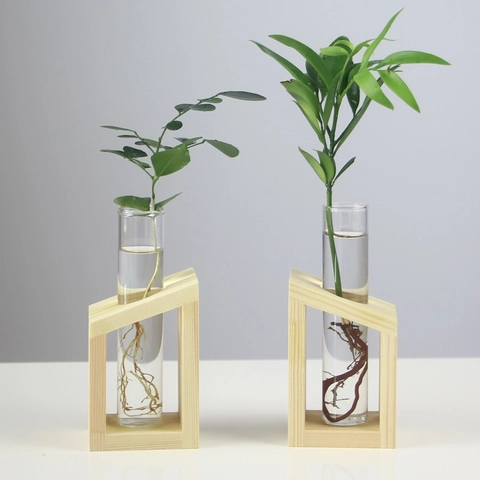 Hydroponik Vase Glas Pflanzenterrarium Mit Holzständer Nordischer Stil Klares Desktop Dekor Ornament