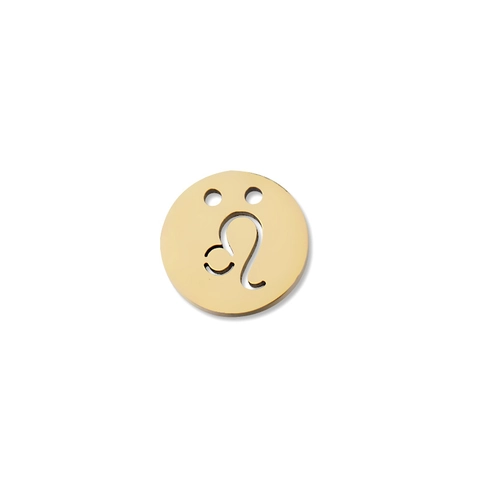 Spiegelgepolijst Roestvrij Staal Dierenriemteken Ronde Charmes Holle Sterrenbeelden DIY Sieraden Connectoren