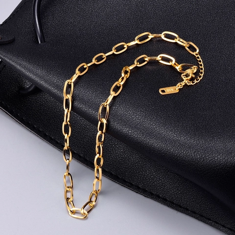 Collier Chaîne Trombone Plaqué Or 18K Acier Inoxydable Minimaliste Chaîne De Clavicule Pour Femmes
