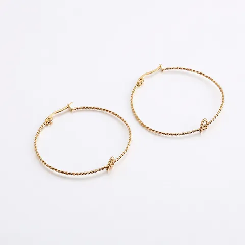 Twisted Rope Knot Hoop Ohrringe 316L Edelstahl Titanstahl Geometrisch Minimalistisch Für Frauen Mädchen Gold Silber Roségold
