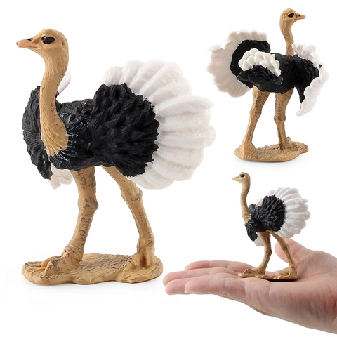 Realistisch Struisvogel Dierfiguur Simulatie Plastic Vogel Model Speelgoed Voor Vroege Educatie Desktop Ornament Statisch Decor