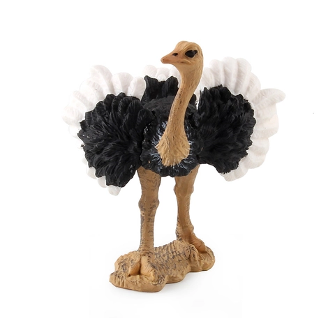 Realistisch Struisvogel Dierfiguur Simulatie Plastic Vogel Model Speelgoed Voor Vroege Educatie Desktop Ornament Statisch Decor