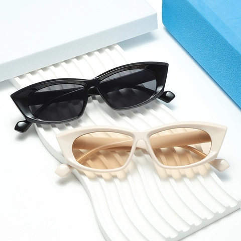 Retro Cat Eye Sunglasses UV400 Protection Small Frame Plastic Vintage Fashion Trendy Eyewear For Women Men
