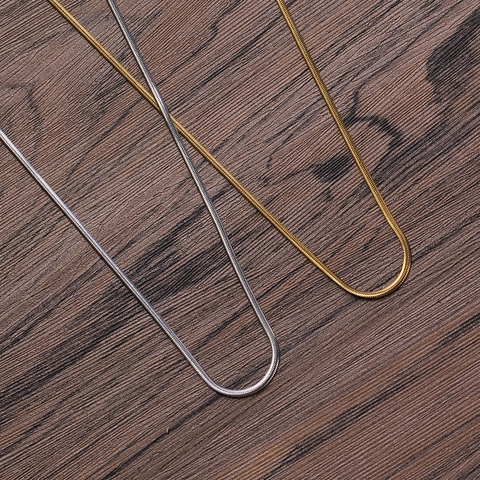 Collier Chaîne En Os De Serpent Plat Acier Inoxydable Style Hip Hop Bijoux Minimalistes Pour Femmes Hommes Métal Durable