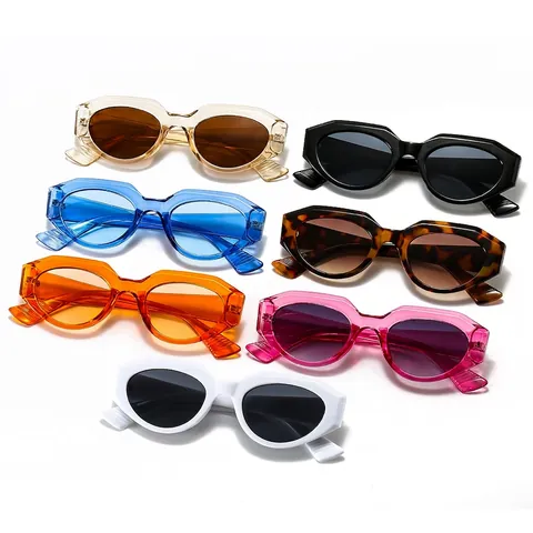 Geometric Irregular Cat Eye Sunglasses For Women Men Fashion Retro Thick Frame UV400 Outdoor Travel Eyewear