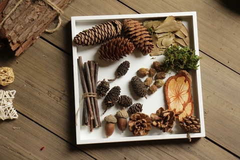 Natural Dried Pine Cones Acorns Wood Slices Twigs DIY Material Pack For Photography Props Home Decor Zakka Vintage Style