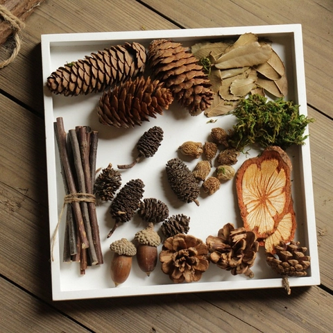Natürliche Getrocknete Tannenzapfen Eicheln Holzscheiben Zweige DIY Materialpaket Für Fotografie Requisiten Dekoration Zakka