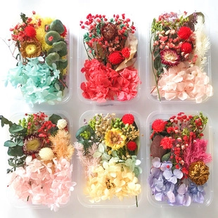 Mixed Natural Dried Flowers DIY Material Kit For Resin Candle Making Handmade Crafts Home Wedding Party Decor Preserved Flower Assortment