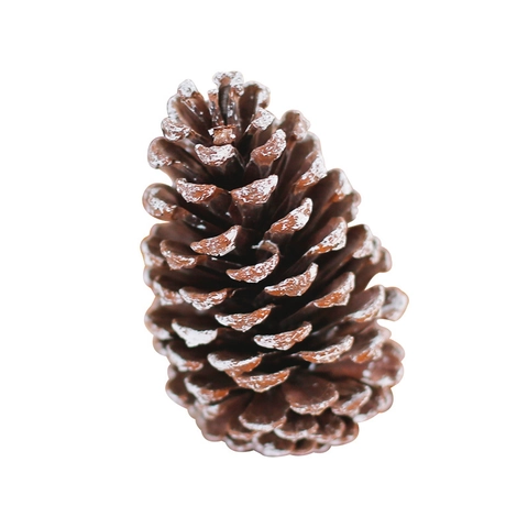 Pigne Naturali Decorazioni Di Natale Ornamenti Oro Ghiacciato Fai Da Te Inverno Casa Arredamento Festa