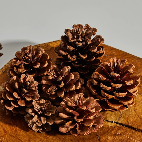 Piñas De Pino Naturales Adornos Árbol Navidad Oro Plata Punta Blanca Nevada Manualidades DIY Decoración Hogar Mesa Festiva