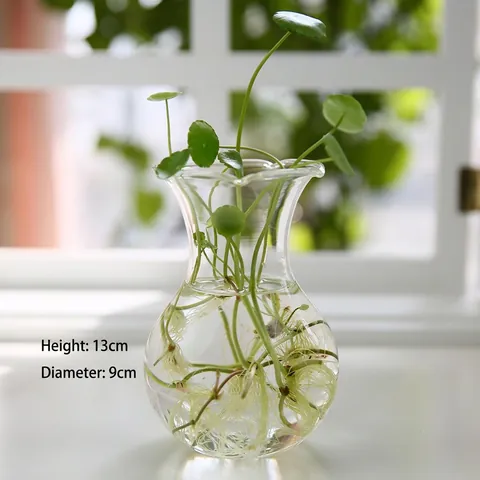 Desktop Hydroponic Glass Vase High Borosilicate Transparent Flower Pot Decoration Home Office Handmade Blown