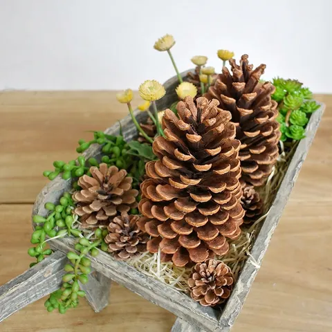 Large Natural Dried Pine Cones For Christmas Decoration DIY Craft Material Rustic Home Decor Ornaments