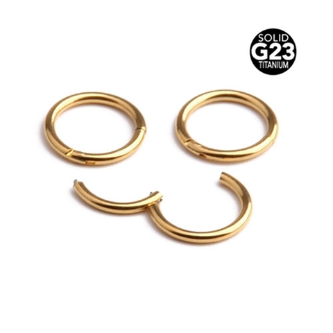 G23 Titanium Hinged Segment Hoop Ring For Nose Ear Piercing Jewelry 14G 16G Unisex Geometric Piercing Ring Multi Color