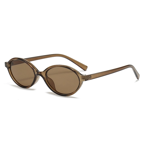Retro Oval Sunglasses Vintage Small Frame UV400 Protection PC AC Fashion Trendy Eyewear For Women