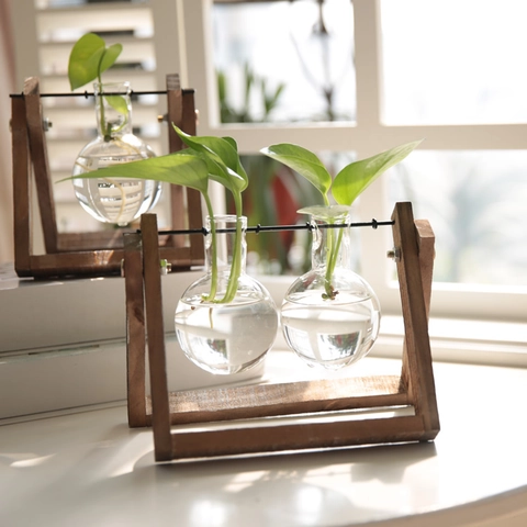 Hydroponik Pflanzenglasvase Mit Holzständer Schreibtisch Terrarium Birne Glas Für Vermehrung Retro Minimalistisches Dekor