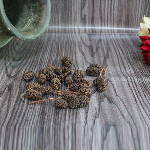 Natürliche Getrocknete Erlenzapfen Kleine Kiefernzapfen Für DIY Handwerk Blumenarrangement Haus Dekor Fotografie Requisiten