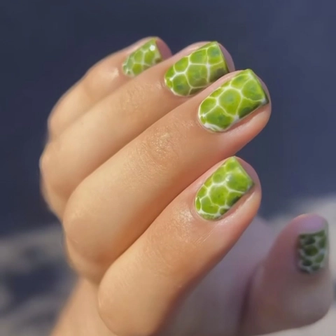 Uñas Postizas Con Patrón De Carey Verde Brillante Plástico ABS Degradado Uñas Artificiales Elegantes Para Mujeres DIY