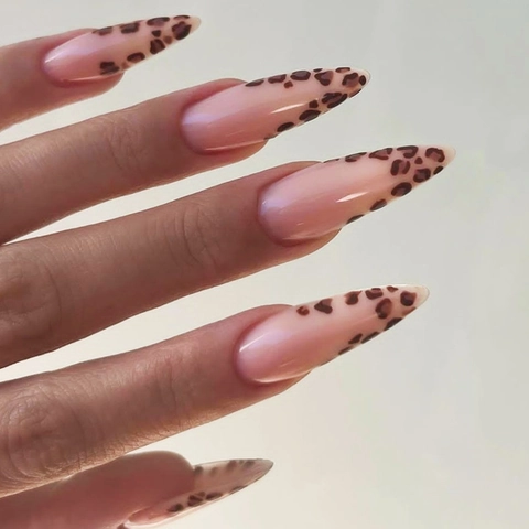 Unghie Finte Stiletto Lunghe French Leopardate Base Rosa Unghie Artificiali Con Linguette Adesive E Lima