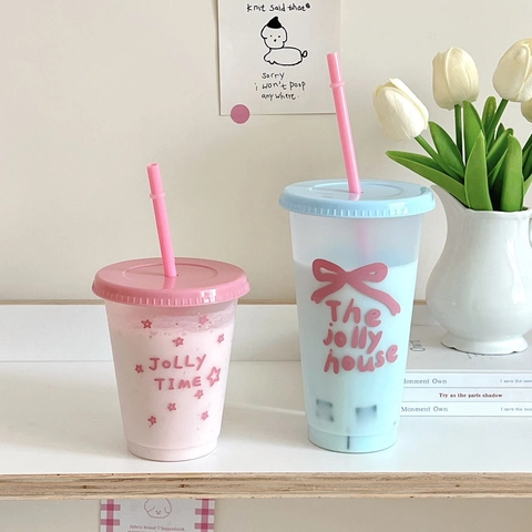Kawaii Plastic Straw Cup Portable Reusable Water Bottle With Lid Matte Tumbler Ins Style For Cold Drink Coffee