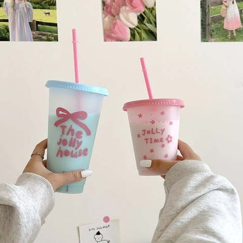 Kawaii Plastic Straw Cup Portable Reusable Water Bottle With Lid Matte Tumbler Ins Style For Cold Drink Coffee