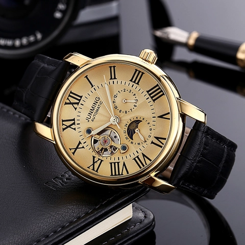 Men Automatic Mechanical Watch Stainless Steel Skeleton Moon Phase Roman Numerals Leather Strap Business Waterproof