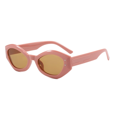 Occhiali Da Sole Cat Eye Poligono Irregolare Geometrico Retro Protezione UV400 Montatura PC Moda Per Donne Uomini