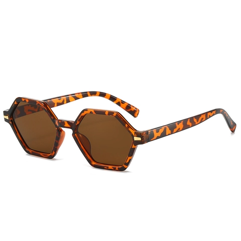 Lunettes De Soleil Hexagonales Rétro Avec Accents Métalliques Monture PC Verres AC Protection UV400 Géométrique