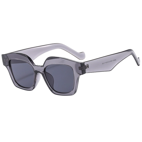 Gafas De Sol Cuadradas Grandes Retro Protección UV400 Montura De PC Geométrica Irregular Moda Para Mujeres Hombres