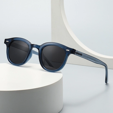 Gafas De Sol Polarizadas Redondas Vintage Protección UV400 Montura PC Gafas Retro Clásicas Para Hombre Y Mujer