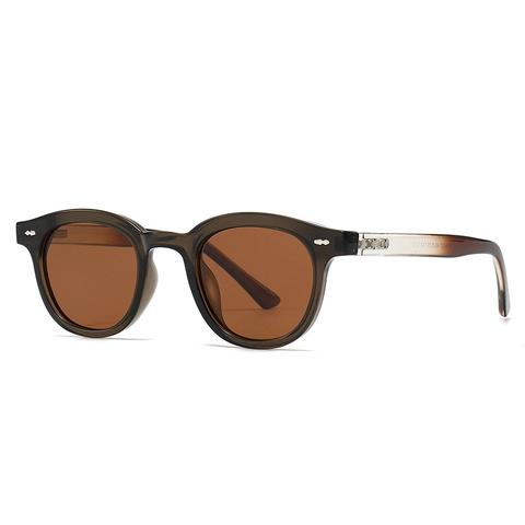 Gafas De Sol Polarizadas Redondas Vintage Protección UV400 Montura PC Gafas Retro Clásicas Para Hombre Y Mujer