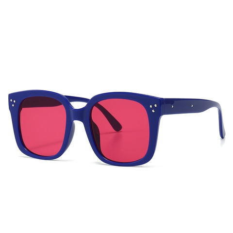 Vintage Oversized Square Sunglasses For Women UV400 Protection PC Frame Metal Rivet Decorative Retro Fashion Sun Glasses