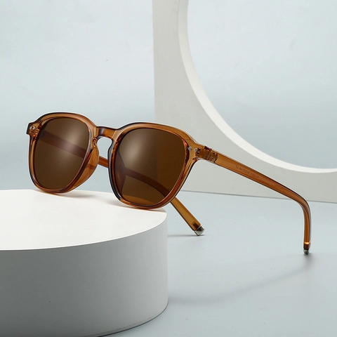 Moderne Retro Vierkante Zonnebril met Dubbele Brug voor Heren Dames UV400 Mode INS Stijl PC Montuur Schaduw Brillen