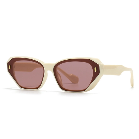 Occhiali Da Sole Poligonali Vintage Per Uomini Donne Montatura In Plastica PC Protezione UV400 Retro Moderno