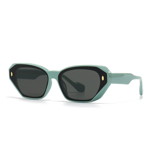 Occhiali Da Sole Poligonali Vintage Per Uomini Donne Montatura In Plastica PC Protezione UV400 Retro Moderno