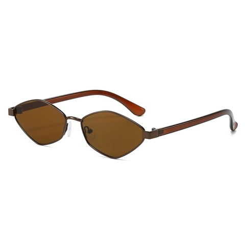 Occhiali Da Sole Polarizzati Geometrici Irregolari Montatura Metallo Protezione UV400 Occhiali Tendenza Vintage Per Donne Uomini